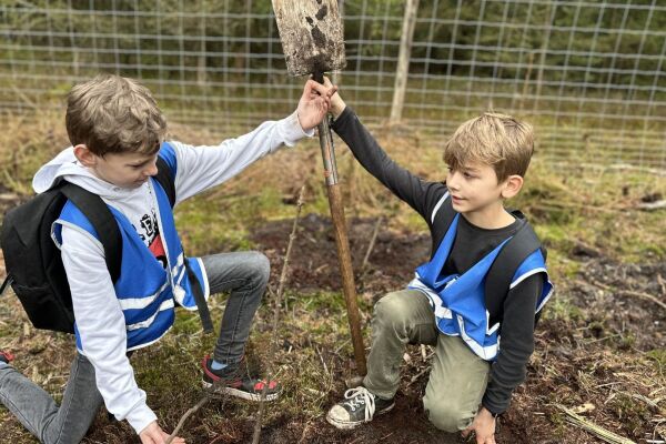 Bomen in het bos hebben het zwaar, zo zit dat