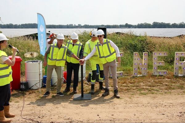 En de das leeft vrolijk verder onder het grootste zonnepark van Gelderland in Winterswijk