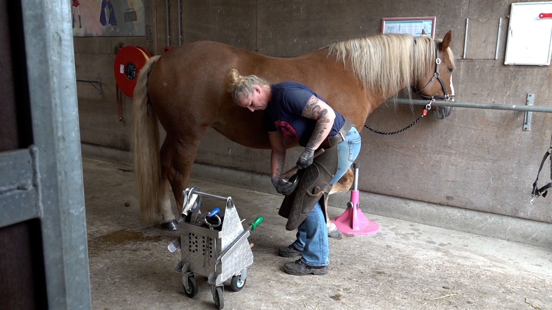 Hoefsmeden gezocht: ‘Werken vanuit passie én je haalt de pijn weg’