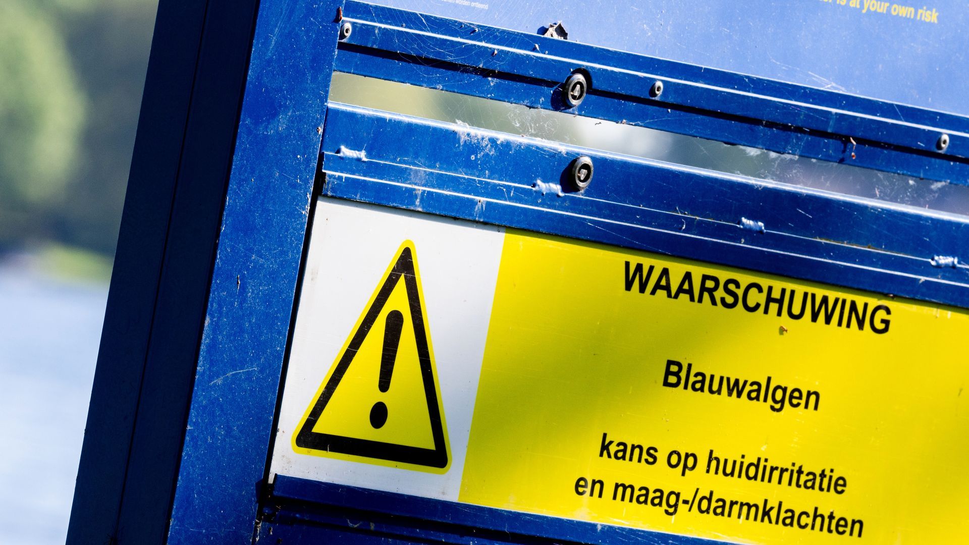 Waarschuwing: blauwalgen in Slingeplas Bredevoort
