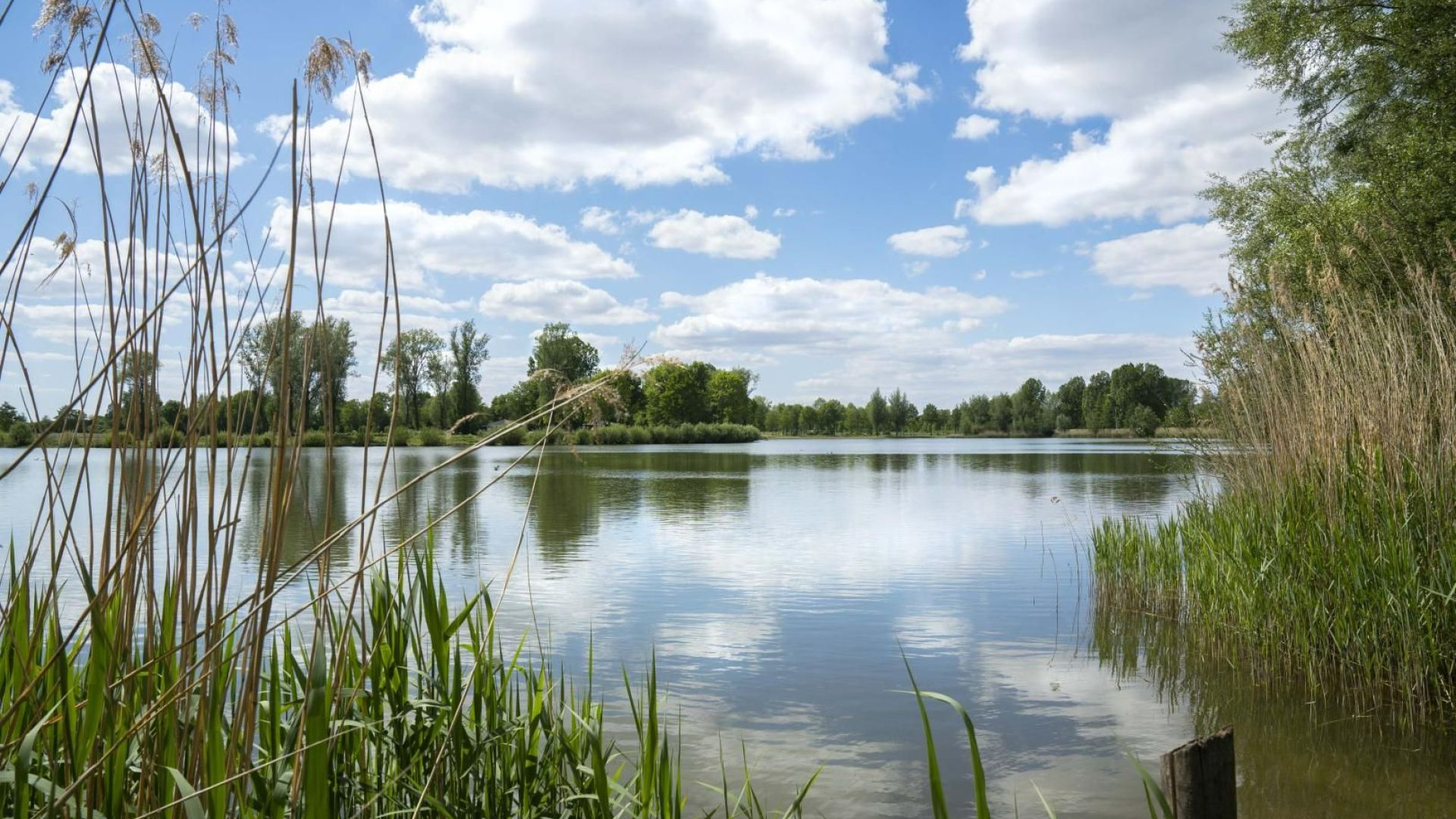 Gemeente Aalten wil starten met gebiedsontwikkeling van Slingeplas en ’t Broock, plek voor wonen, re